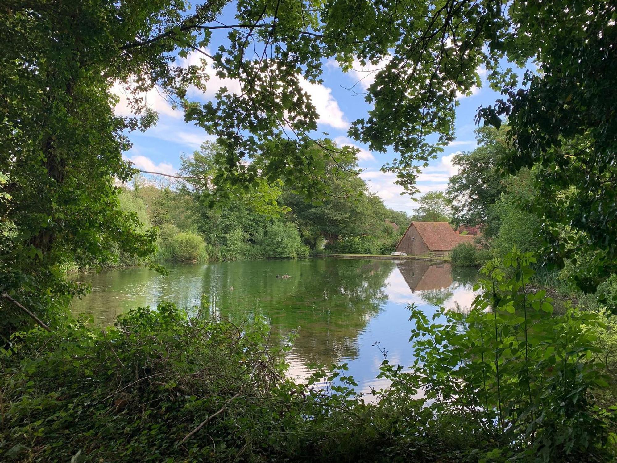 Moorhen Cottage Hollingbourne Kültér fotó